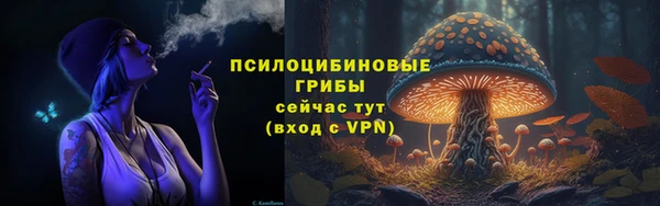 метадон Абаза